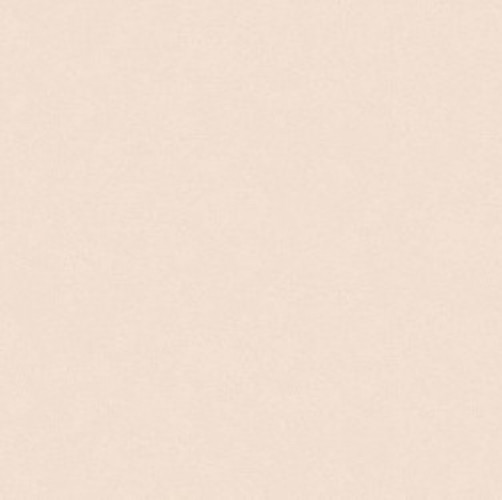 Обои виниловые на флизелиновой основе Erismann Light 10*1,06м 4544-11