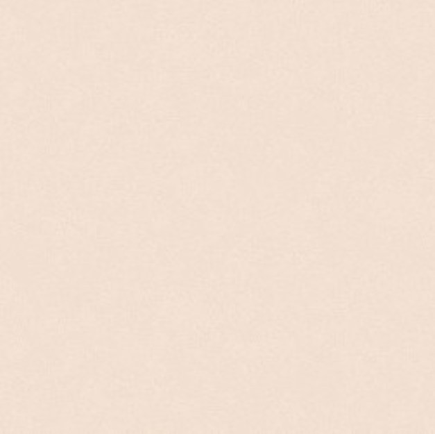 Обои виниловые на флизелиновой основе Erismann Light 10*1,06м 4544-11