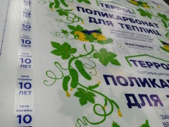 Сотовый поликарбонат 6мм Прозрачный 2,1х6м пленка с 1 стороны Teppol 0,72 кг/м2