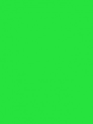 Самоклеящаяся пленка Colour decor 2013, светло зеленый 0,45х8м