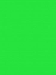 Самоклеящаяся пленка Colour decor 2013, светло зеленый 0,45х8м