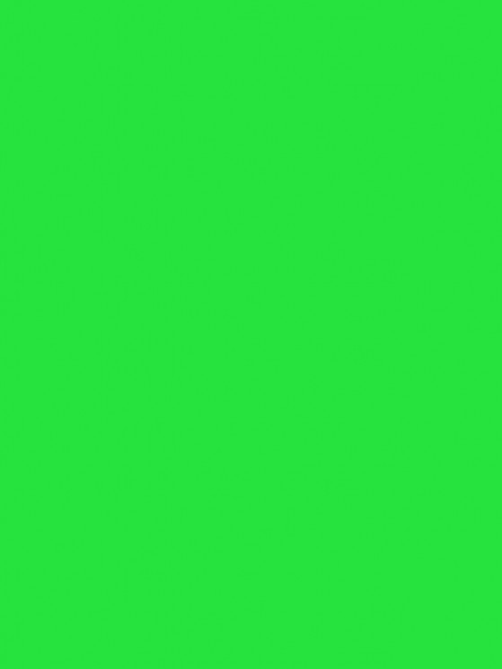Самоклеящаяся пленка Colour decor 2013, светло зеленый 0,45х8м