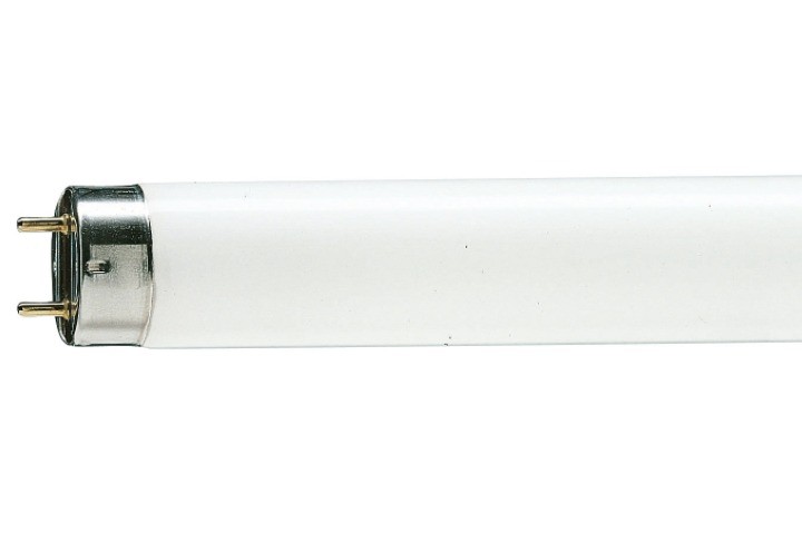 Лампа люминесцентная G13 TL-D белая 18вт/33-640, 4100K, PHILIPS