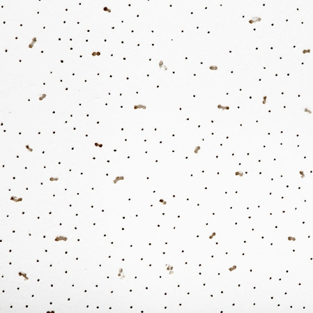 Плита потолочная 600х600 Ангара (Angara) 24шт/8,64м2/уп