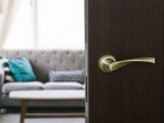 Ручка раздельная FZ 03 SG Матовое золото