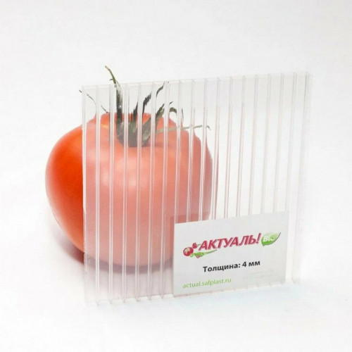 Сотовый поликарбонат 4мм Прозрачный 2,1х6м АктуальBIO СафПласт, 0,6кг/м2