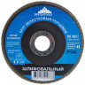 Круг шлифовальный лепестковый, 125*22мм, Р100, Vertextools 12600-100