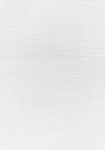 Обои виниловые на флизелиновой основе Erismann Trend 10*1,06м 6146-2