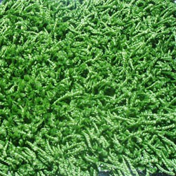 Ковровое покрытие Асти 038, 4м, травяной, шегги, Zartex