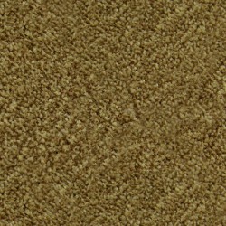 Ковровое покрытие Катрин 152 3,5м, светло-коричневый, Zartex