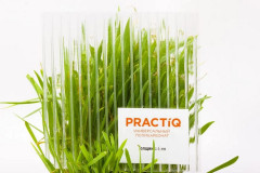 Сотовый поликарбонат 4мм Прозрачный 2,1х6м Practiq 0,52кг/м2