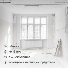 Герметик акриловый белый DSK 301 Donewell 260мл