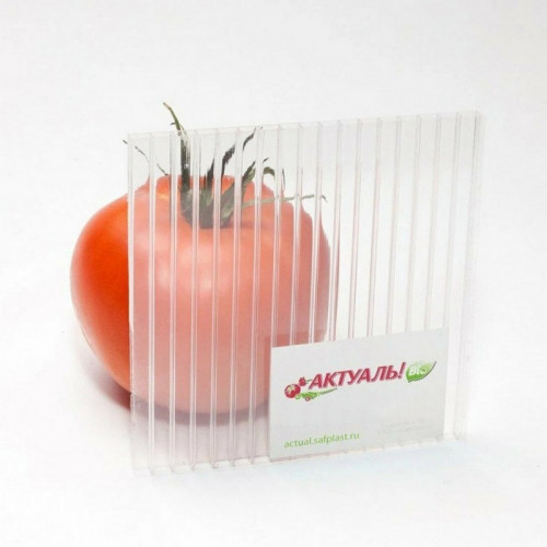Сотовый поликарбонат 8мм Прозрачный 2,1х6м АктуальBIO СафПласт 1,17кг/м2