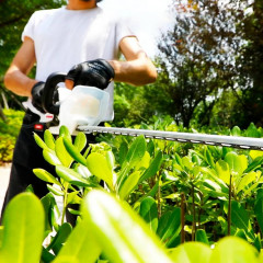 Кусторез аккумуляторный 20В Crown CT29015HX