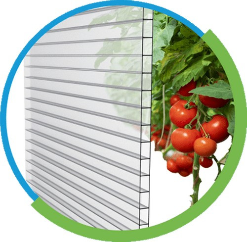 Сотовый поликарбонат 4мм Прозрачный 2,1х12м светорассеивающий SMART Практичный Полигаль 0,65кг/м2