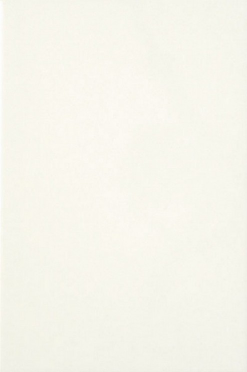 Плитка облицовочная 200*300мм белая глянцевая, ВКЗ