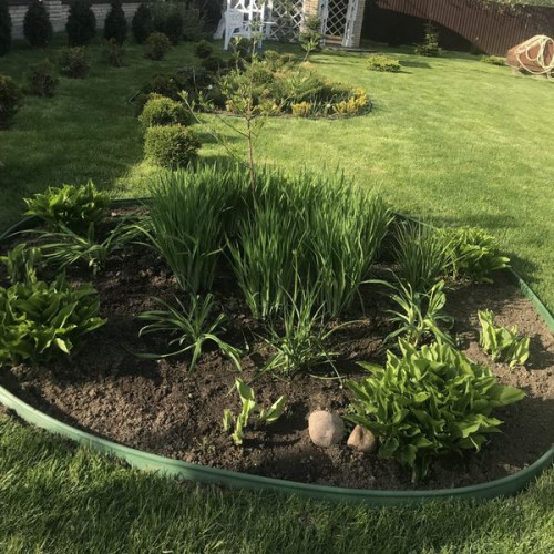 Бордюрная лента пластик Канта 100мм х 10м, оливково зеленый 82552-О/3 Standartpark