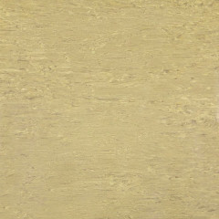 Линолеум коммерческий гомогенный Альфа Стандарт 105 2м, 2мм Polystyl Tarkett