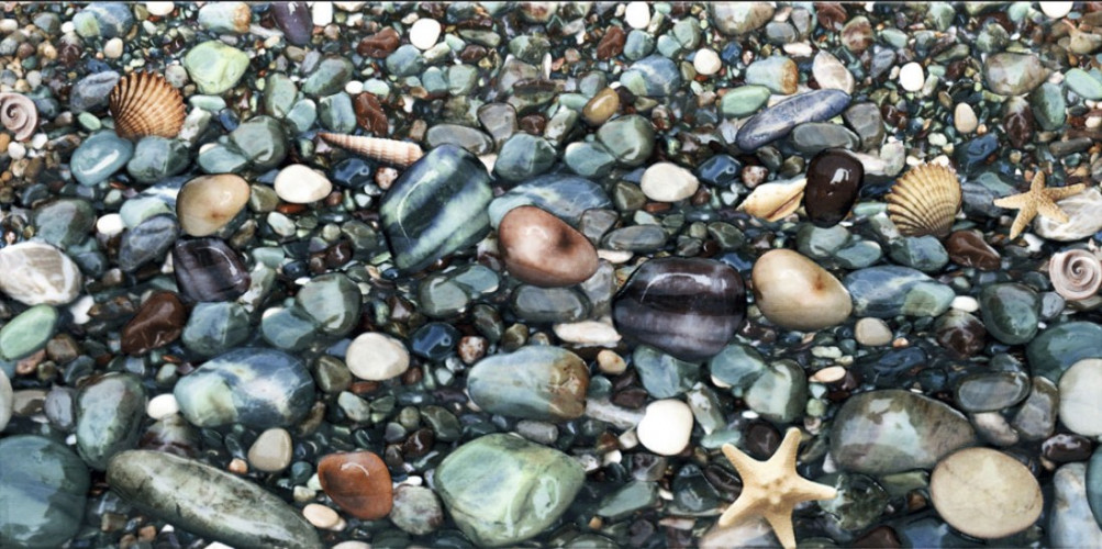 Декор Alma Ceramica Riviera 249х500х8,5 DWU09RVR024