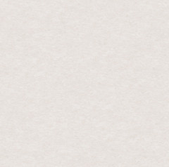 Обои виниловые на флизелиновой основе Erismann Elegance 10*1,06м 4538-2