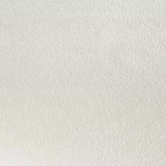 Обои под покраску флизелиновые Elysium Е523011 123гр/м2 1.06х25м белый