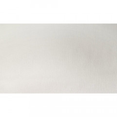 Обои под покраску винил на флизелиновой основе Elysium E50525 1.06х25м белый