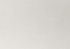 Обои под покраску винил на флизелиновой основе Elysium E50525 1.06х25м белый