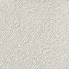 Обои под покраску флизелиновые Elysium E55825 1.06х25м белый