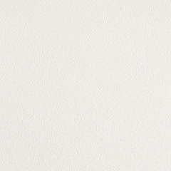 ЛДСП 16мм 2750х1830 Белая Базовая Шагрень U10437/РЕ SwissKrono