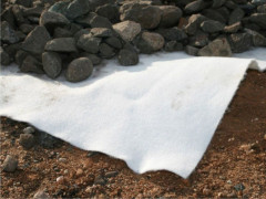 Геотекстиль иглопробивной 150 белый, 2х50м Дорнит Эко