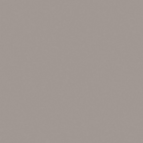 Керамогранит 600х600х10мм RW03 Rainbow серый Estima