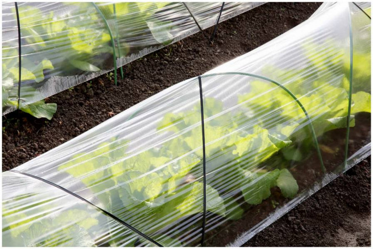 Пленка тепличная 40мкм, рукав 1,5х100м, высший сорт, ГОСТ (300м2)