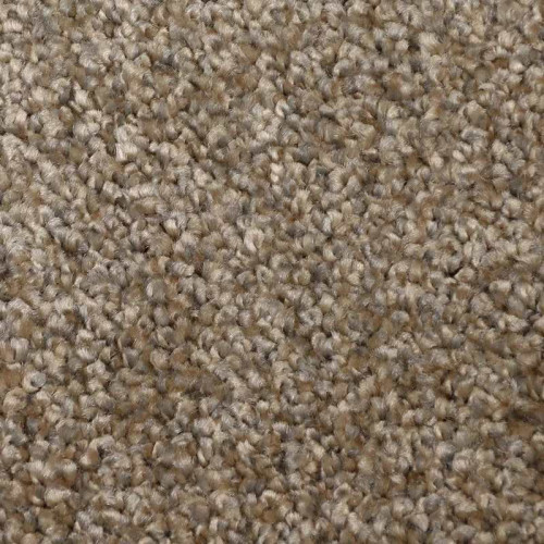 Ковровое покрытие Dragon Termo 10431, 3м, светло-коричневый, Sintelon (нарезка)