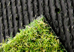 Искусственная трава Apollo 30 4м, Condor