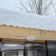 Профилированный поликарбонат трапеция 6000х1050х0,8мм (прозрачный) Юг-Ойл-Пласт