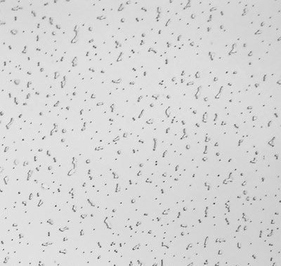 Плита потолочная 600х600 Ариста Нью