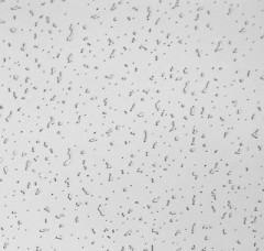 Плита потолочная 600х600 Ариста Нью