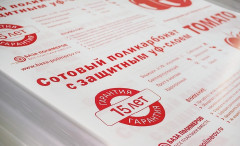 Сотовый поликарбонат 4мм Прозрачный 2,1х6м Томато Полигаль, 0,44кг/м2