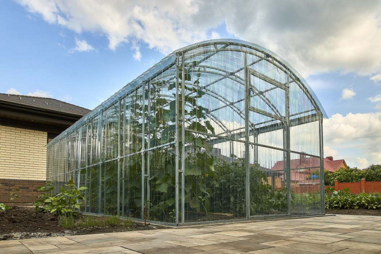 Поликарбонат трапеция С-8 6000х1050х0,8мм (прозрачный) для теплиц Plastilux