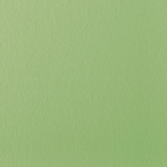 Стеклохолст малярный Oscar light Os25 1*50м (25г/м2)