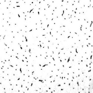 Плита потолочная 600х600 Decor 12 мм