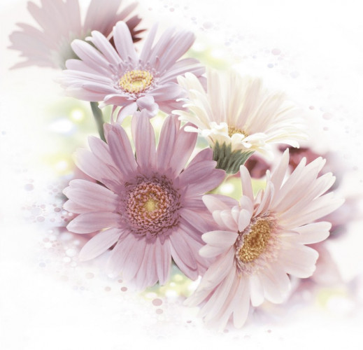 Панно из 6 плиток Lila 747x728x7,5 PWU07LIL5