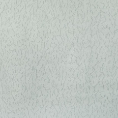 Обои строительные флизелиновые Elysium E360048 1.06х10м цветные крашеные