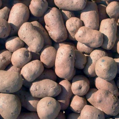 Керамзит фракция 20-40мм 0,04м3