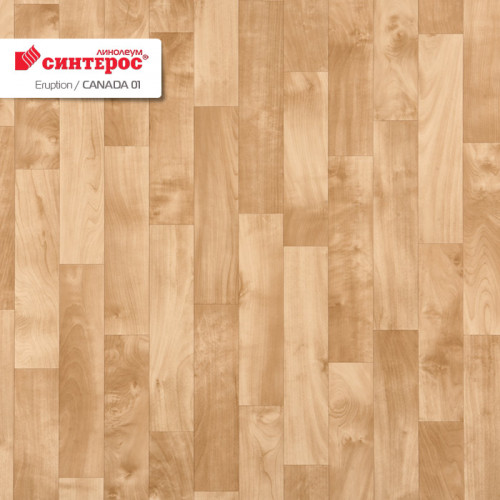 Линолеум бытовой Eruption Canada-01 2,0м/3,0мм Синтерос